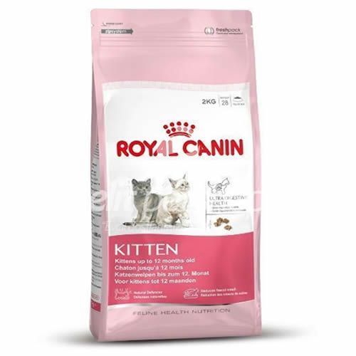 Royal Canin Cat FHN Kitten Kedi Maması 10 KG