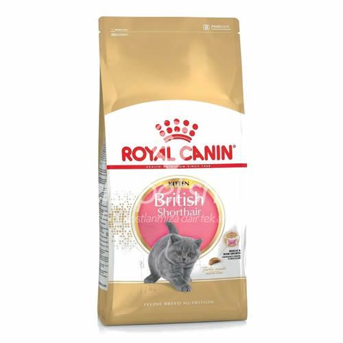 Royal Canin Cat FBN British ShortHair Kitten Kedi Maması 2 Kg