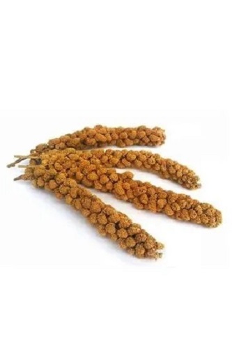 Dal Darı 100 gr