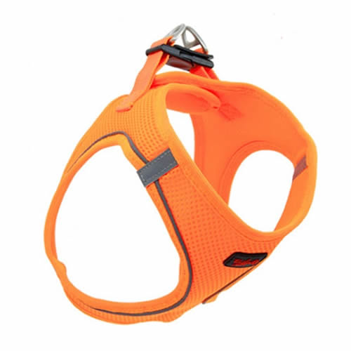 Tailpetz Air Mesh Göğüs Tasması Neon TURUNCU-M