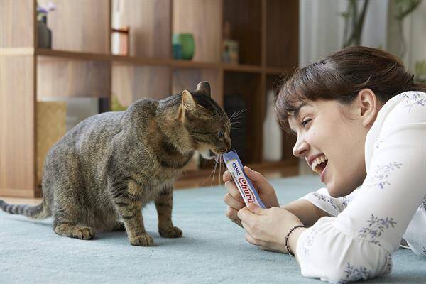 Ciao Churu Cream Tavuklu ve Deniz Taraklı Kedi Ödülü 4 x 14 Gr
